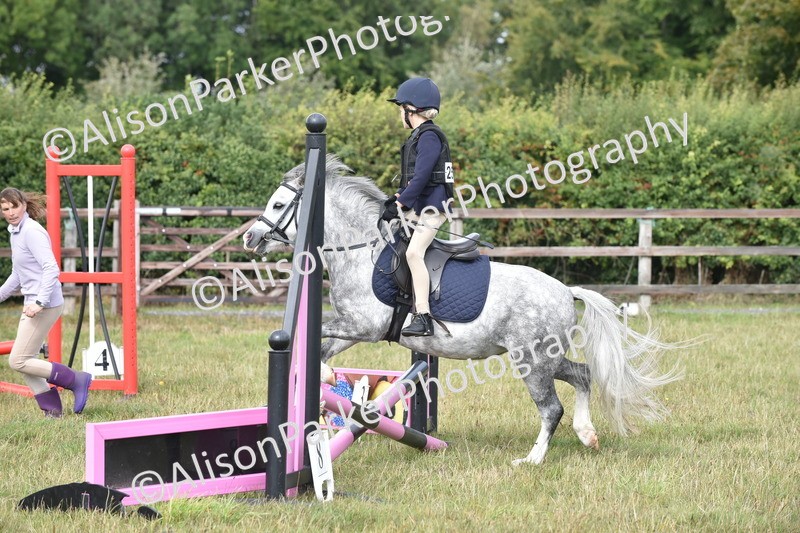 20250831-1766 - Class 8 - Hoof and Foot