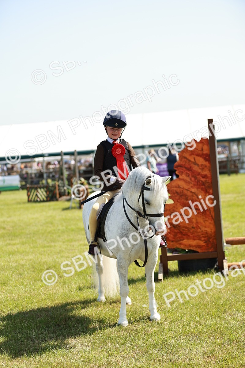 SBM_12792 - Class 106-107 - BSPS LIHS Working Sports Pony