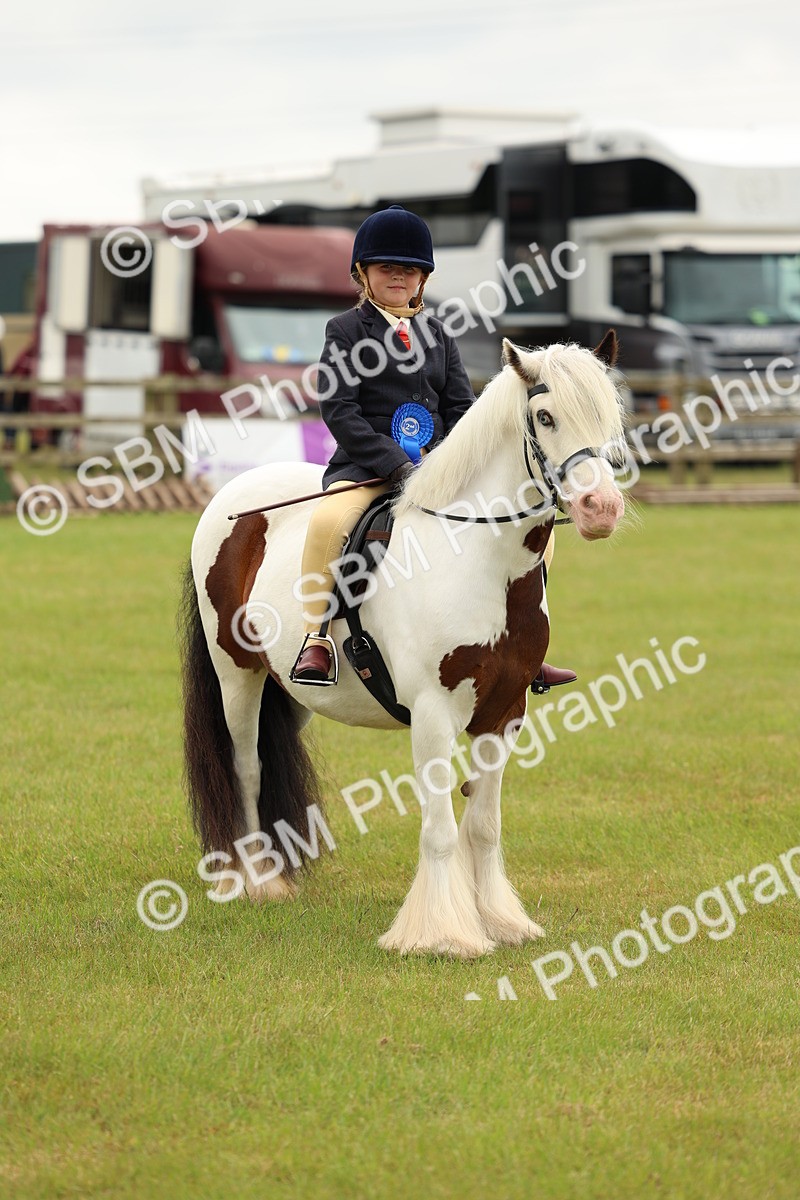 SBM_06295 - Class 39-41 TGCA In Hand and Ridden