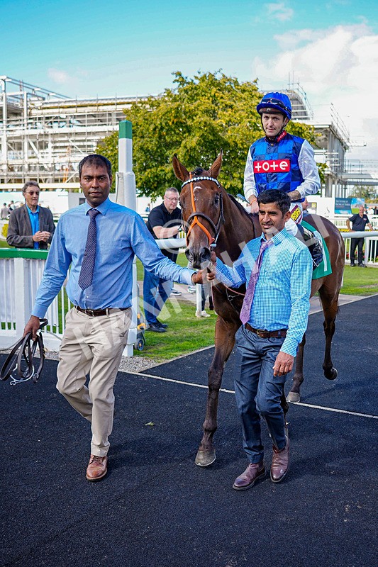 050926-Race 1-Prince Kameo-7 - Race 1 1.35pm Personal Touches Day Of Elegance Nursery Handicap