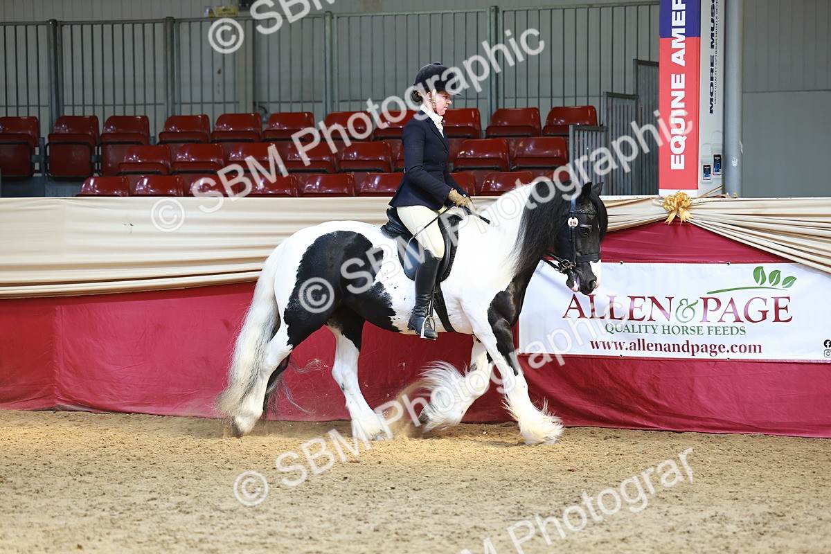 SBM_23295 - class 906 - Supreme Final - Ridden Pre Vet
