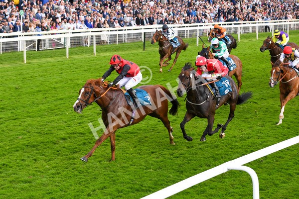 150723-Race 7-Roundhay Park-0754 - Race 7 5.30 pm John Smith's Sprint Handicap