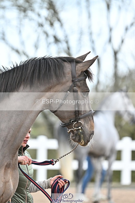 240417A-124243-00181 - 12pm to 1pm