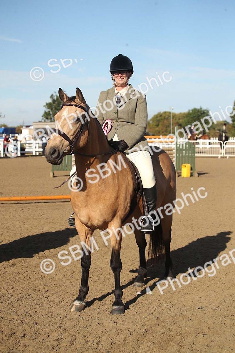 SBM_11595 - Class 502 - Riding Club Horse