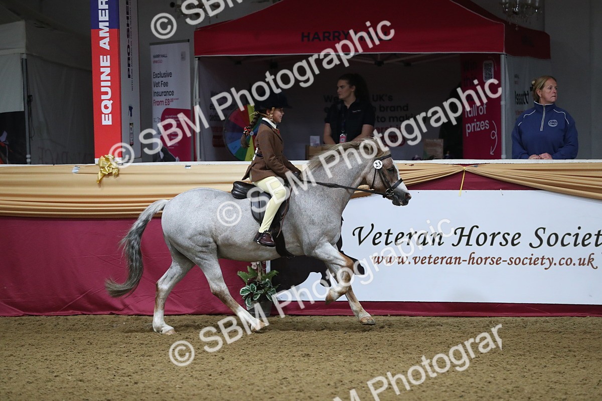 SBM_09274 - Class 101 Equitation (best rider), Junior