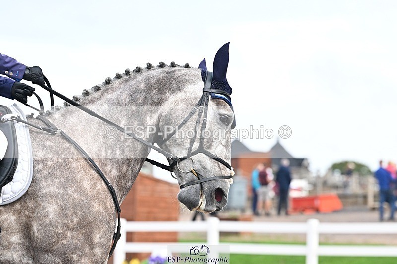 250907-133455-08535 - 008-Caroline.LynchHio.Easter.Rose