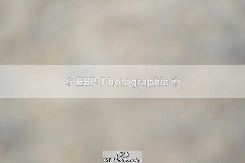 230813-085252-05720 - Cls 12 Elem Silver Start to 10.10 break