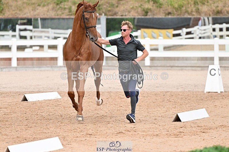 250716-163828-02693 - Trot Up 4.30 to 5.00