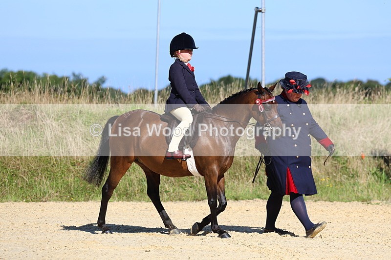 3E7A7875 - Class 14: Tack and Turnout