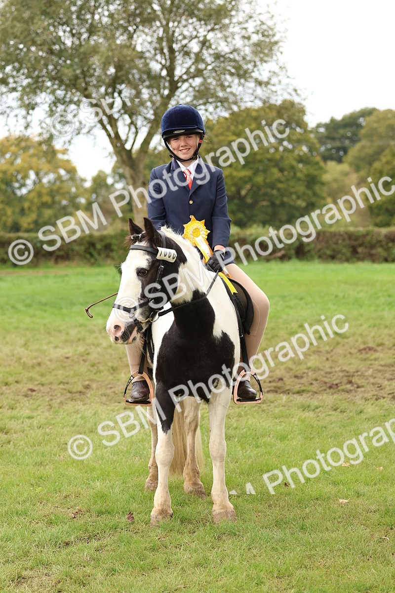 SBM_59999 - S36 - Rehabiliated Rescue Horse & Pony In Hand & Ridden