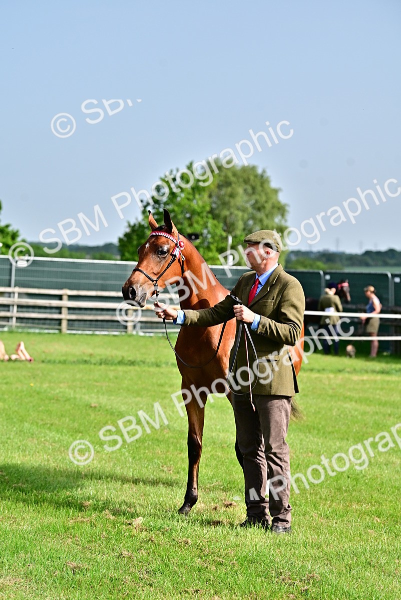 SBM_00124