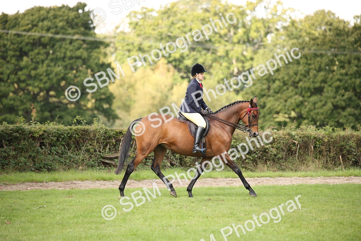 SBM_65910 - S64 - Riding Horse & Hack & Thoroughbred Ridden
