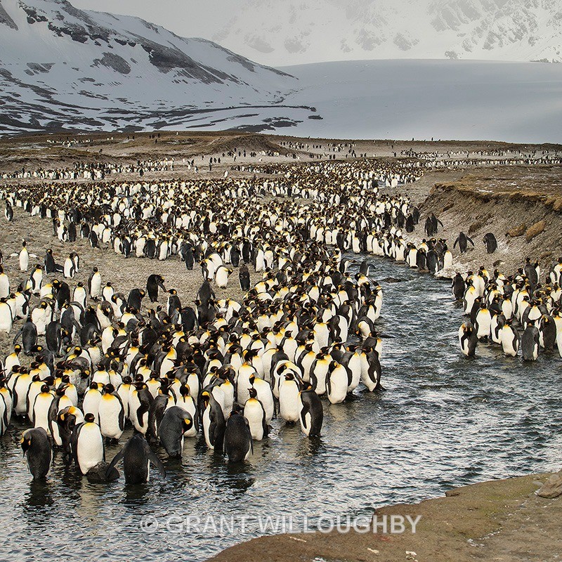  - Antartica