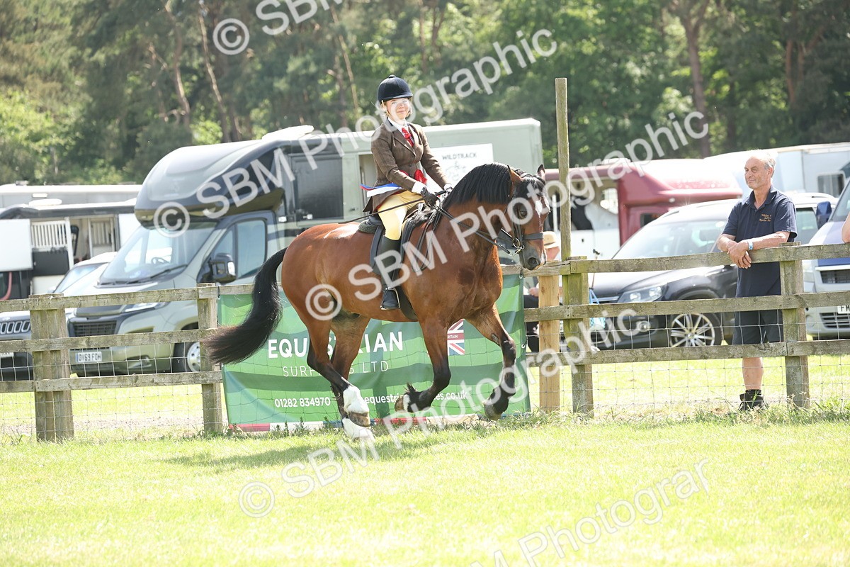 SBM_07744 - Class 26-30 - Mountain and Moorland Ridden