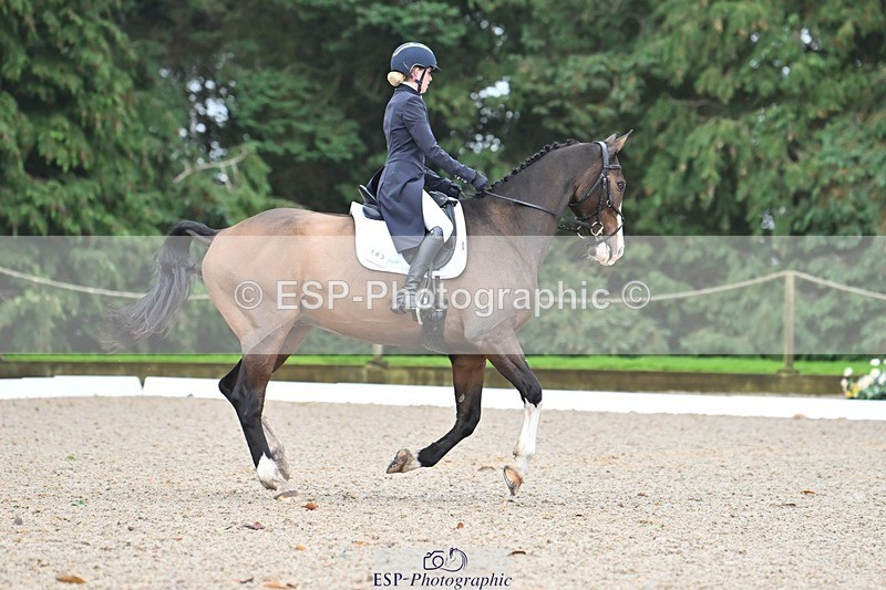 231019-104741-01965 - 103-BEECH.HILL.KIKO.CLOVER-Harriet.Blair-DR