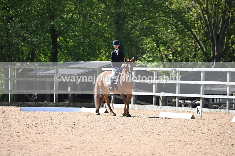 WJ6_8995 - Class 2 time 11:35 to 11:50