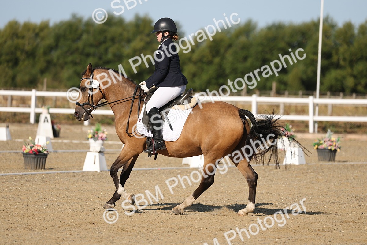 SBM_012619 - Class 1 - P5 Bronze 9.00.10.12