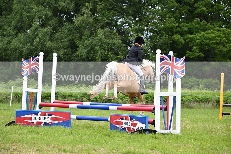 WJ6_5683 - Class 5 pairs 70cm