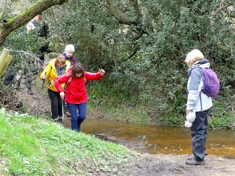 031 A tricky crossing on Stepping stones - York Minster Walkers Collection 2024