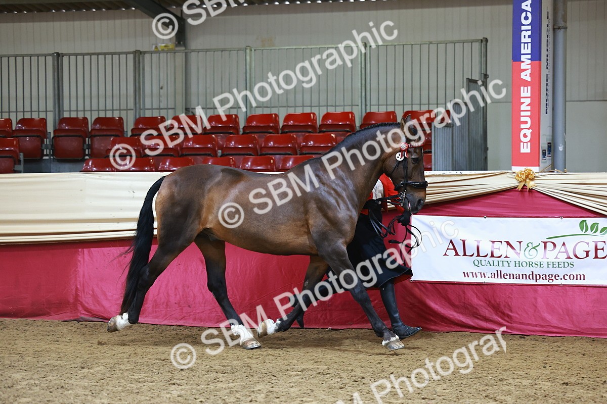 SBM_22274 - Class 902 - Supreme Final - IH Diamond