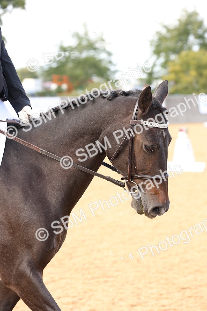 SBM_24648 - D17 - Grand Tour Championship Novice 3