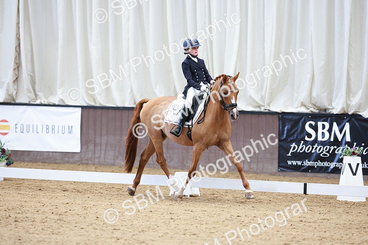 SBM_017068 - Class15 - FEI Pony