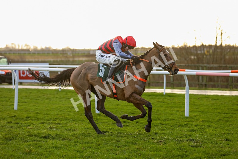 281223-Race 4-Lavida Adiva-3439 - Race 4