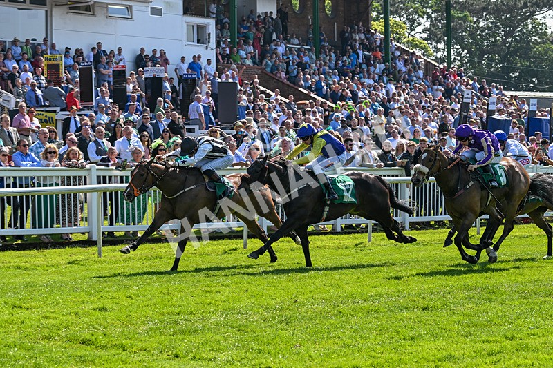180524-Race 3-Burning Cash-9396 - Race 3
