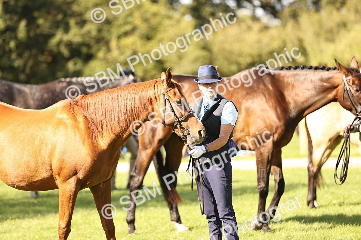 SBM_26197 - S5 - Novice & Newcomers In Hand