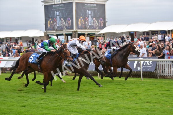 yr23072021r5-21 - Race 5 8.00pm Gallop Racing Stakes