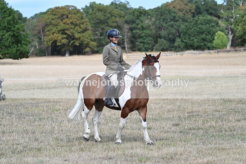WJ7_6653 - Class 14 Ridden Coloured