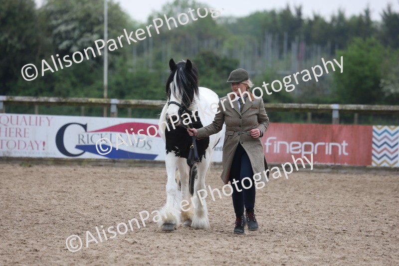 20260504-1378 - Class 8 - Cob and Hunter