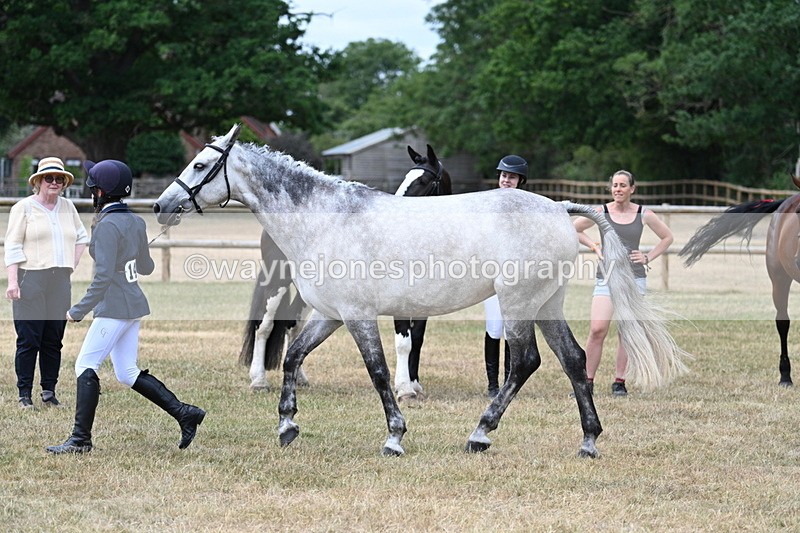 WJ7_1886 - Class 4a Prettiest Mare 14.2hh and over hand