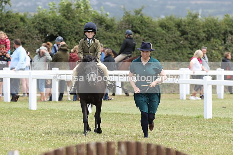 JPP_1781 - Class 18: Tiny Tots Working Hunter Pony