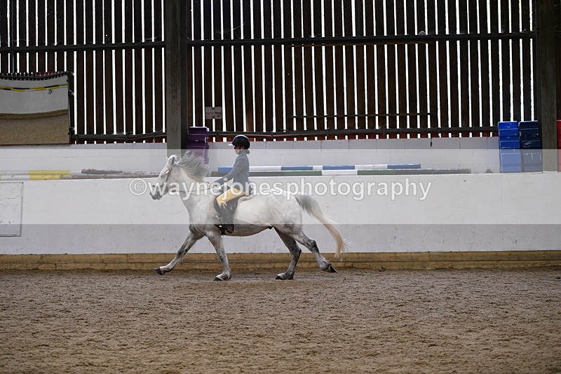 WJ5_7939 - Class 13 Ridden Part Breed