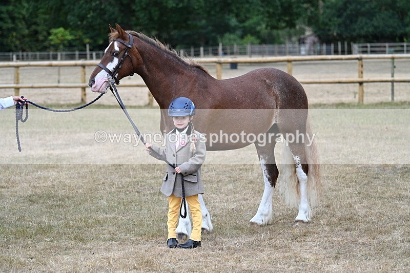 WJ7_9411 - Prettiest Mare Champs