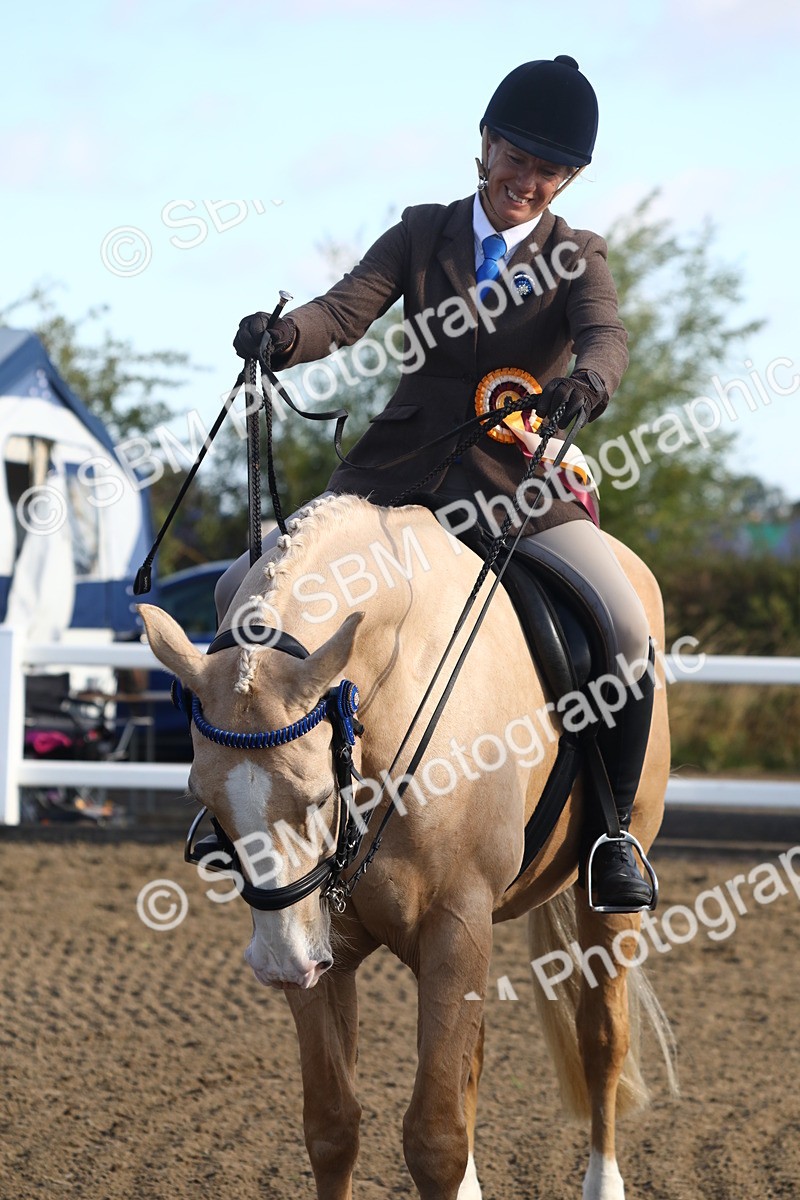 SBM_08605 - Class 502 - Riding Club Horse