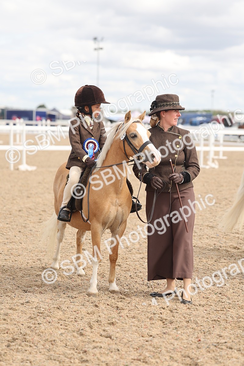 SBM_15839 - Class 309 - Lead Rein Pony