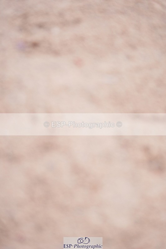 240804A-113252-10633 - Cls 43 5 Yr Old Champs