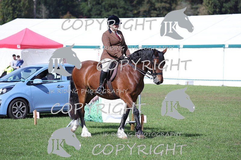 APP_3034 - Class 11 Veterans ridden