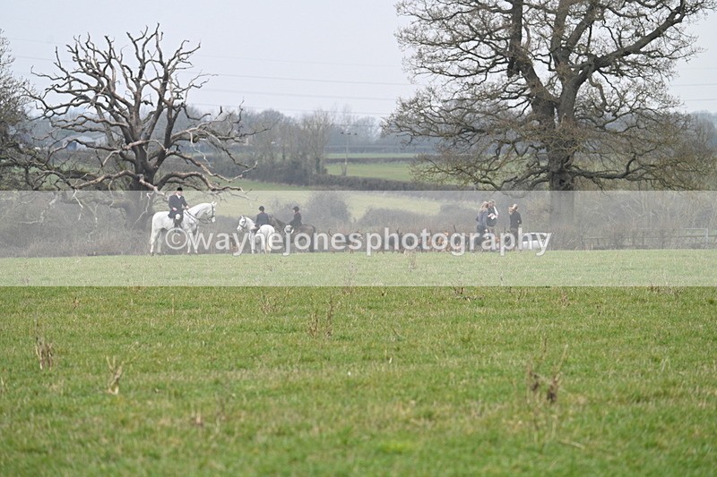WJ7_8023 - A Camera