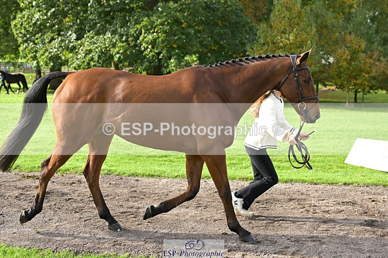 241023-131815-00194 - 011-Carla.Williamson-GOLDMAN