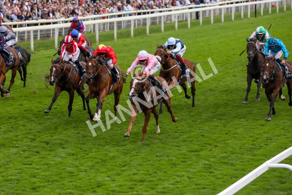 250823-Race 4-Live In The Dream-5875 - Race 4 3.35pm Coolmore Wootton Bassett Nunthorpe Stakes