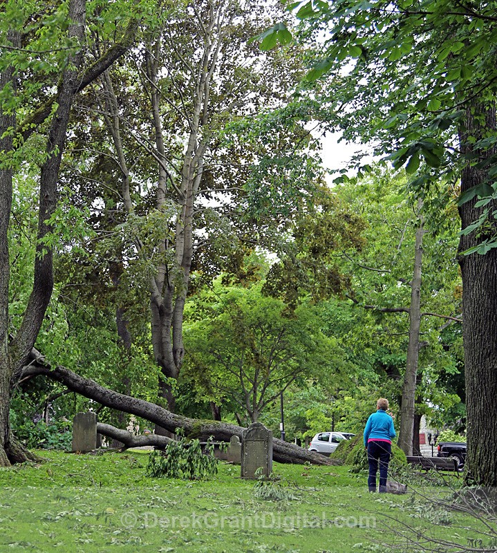 Post-Tropical Storm Arthur - 3 - Extreme Weather