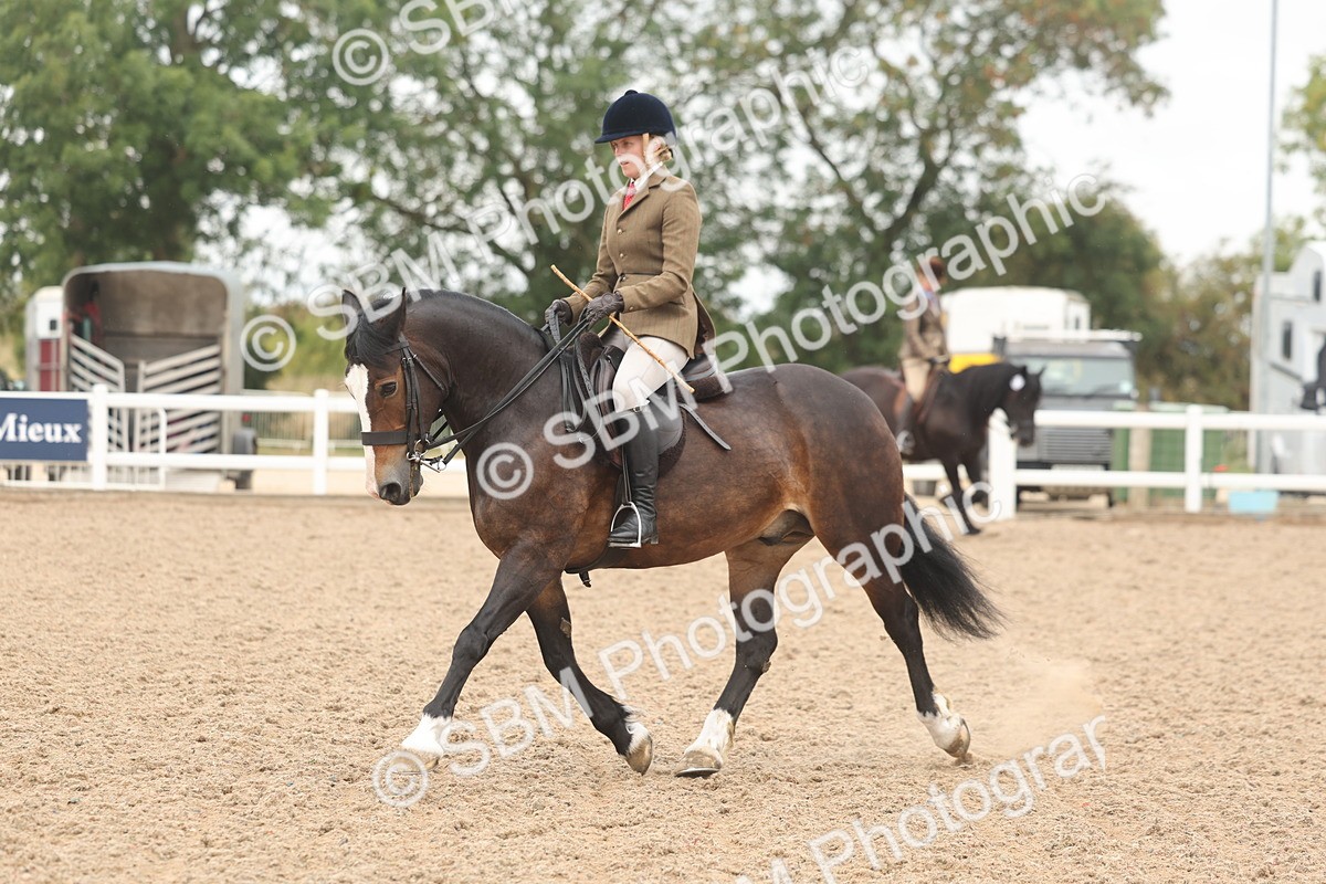 SBM_01909 - Class 14 - Ridden M&M Wildcard