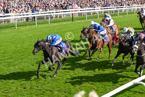 240824-Race 5-Elmonjed-1760 - Race 5 4.10pm Sky Bet Constantine Handicap