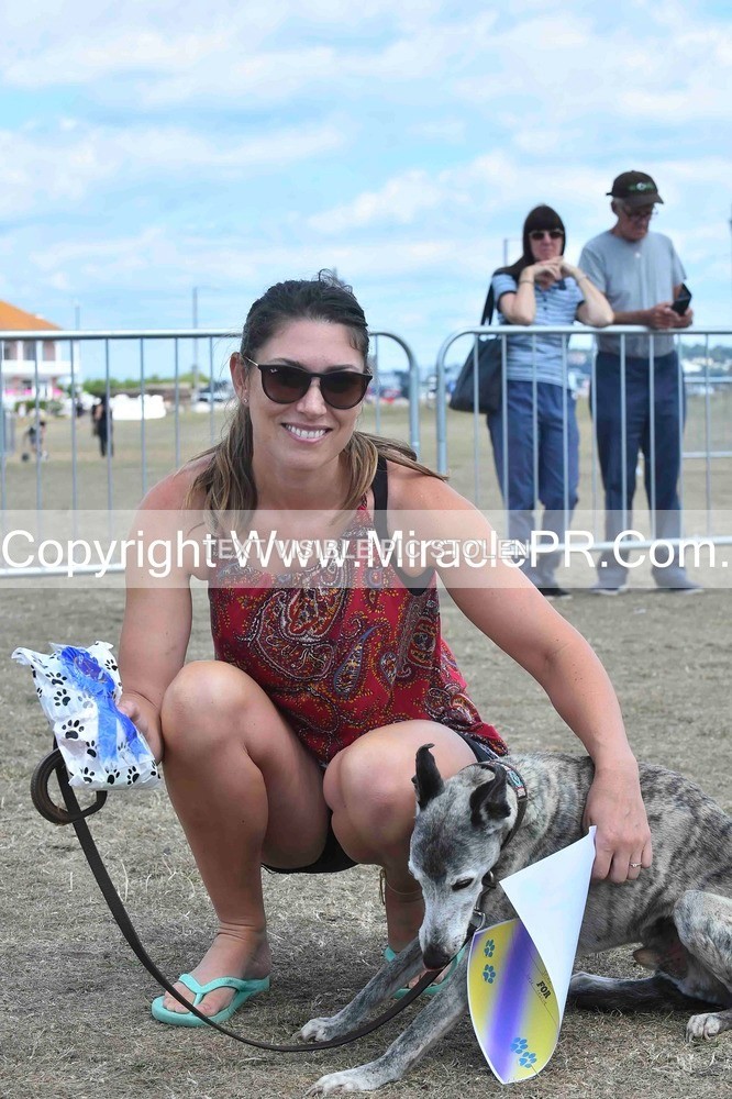 SH4_0191 - Dog show.