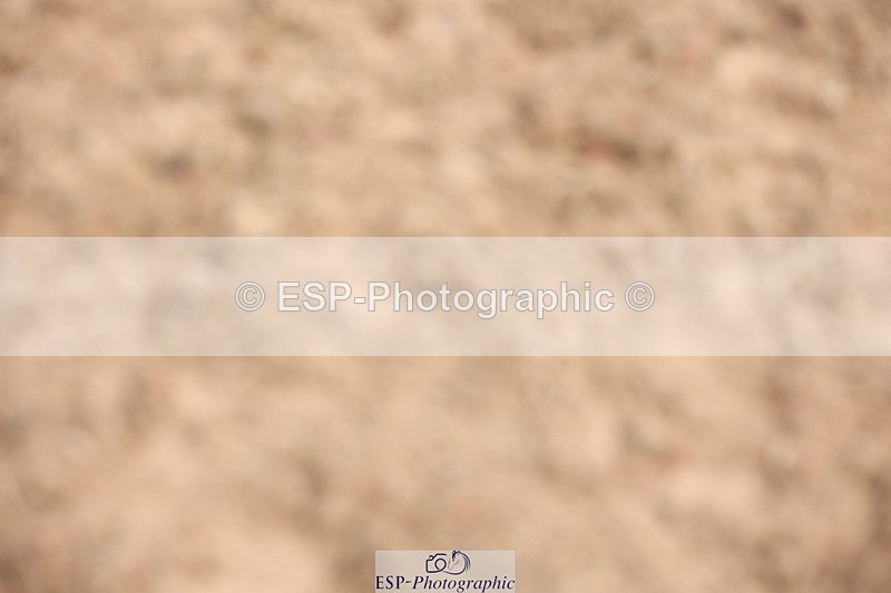 240714A-135327-02288 - Cls 11 & 12 Children on Horses