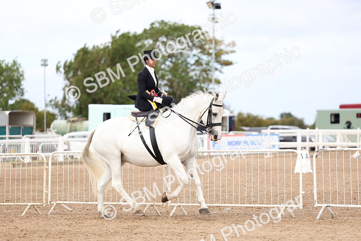 SBM_03487 - Class 24 - SSA Concours d'elegance (any age)