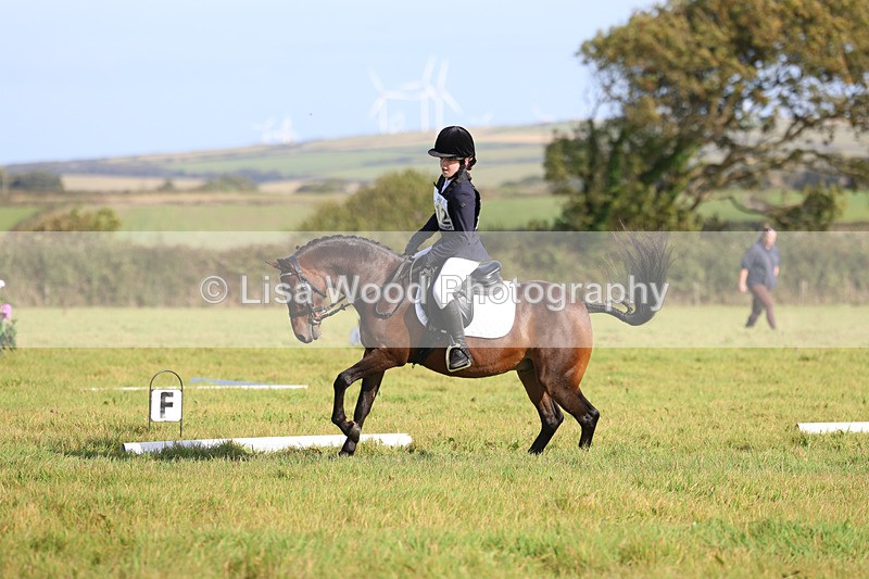 3E7A5970 - Class 1: Trebudannon Open: Dressage (Part 2)